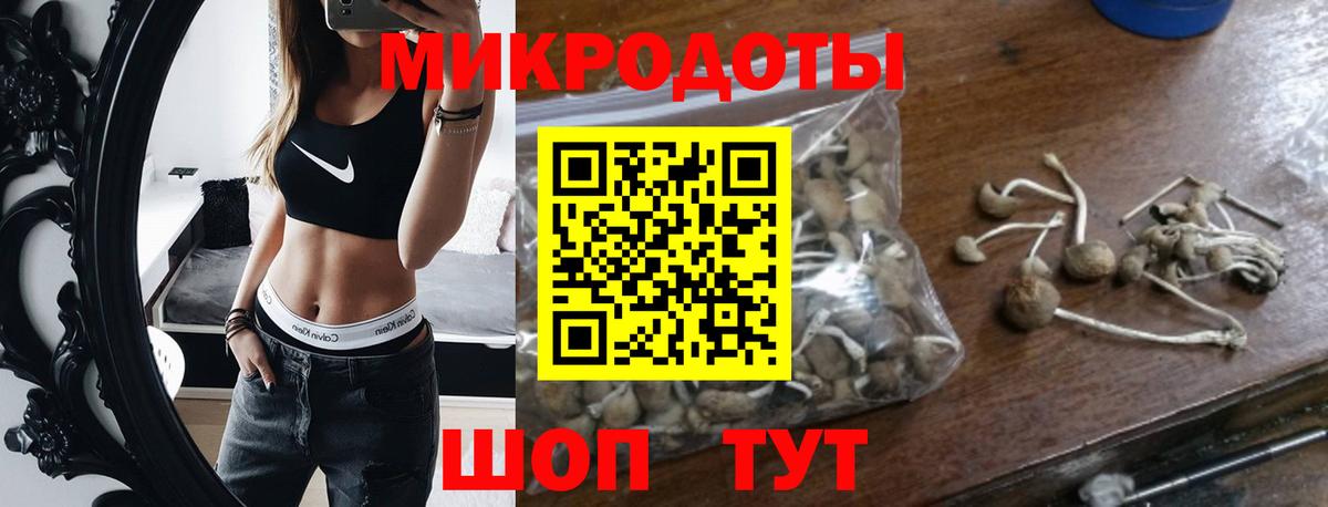 Галлюциногенные грибы Psilocybe Симферополь